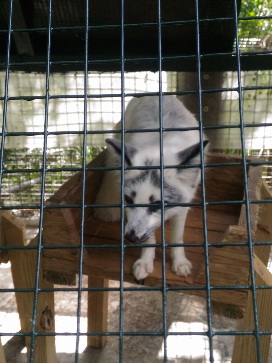 文件 : <FONT COLOR='red'>(108.11.01)戶外教學【綠世界】-16.JPG</FONT> <BR> 尺寸 : <FONT COLOR='blue'>950 × 1267</FONT> 圖元 <BR> 格式 : <FONT COLOR='green'>jpg</FONT> <BR> 大小 : <FONT COLOR='green'> -- </FONT> KB