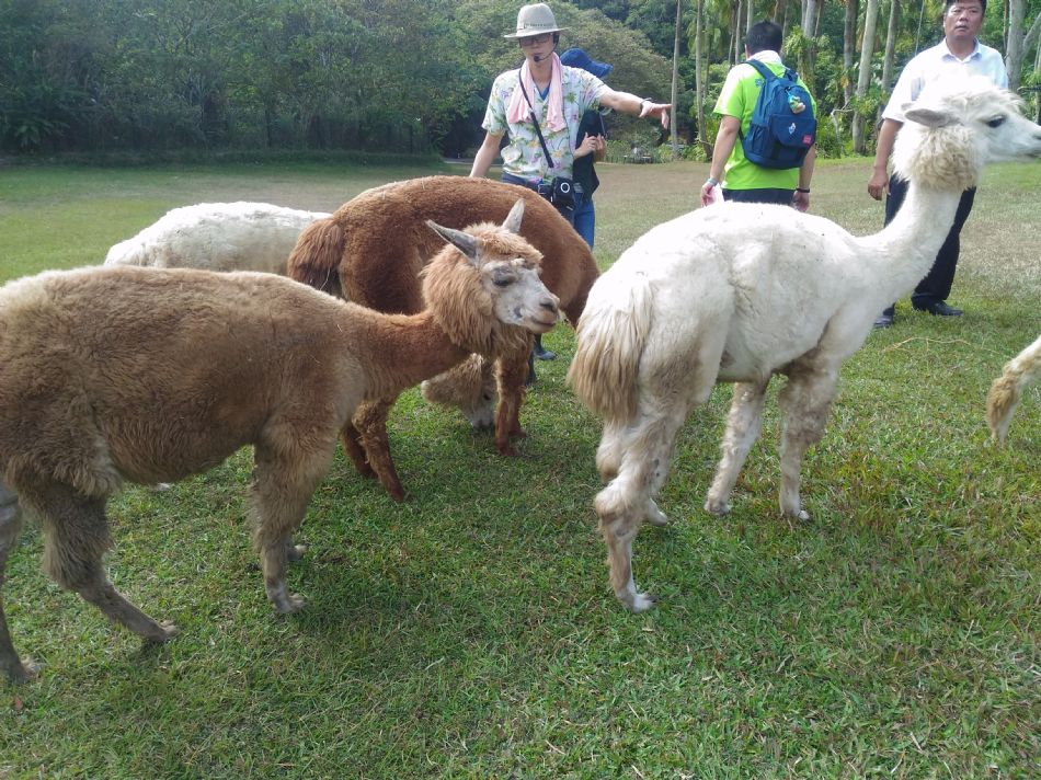 文件 : <FONT COLOR='red'>(108.11.01)戶外教學【綠世界】-17.JPG</FONT> <BR> 尺寸 : <FONT COLOR='blue'>950 × 712</FONT> 圖元 <BR> 格式 : <FONT COLOR='green'>jpg</FONT> <BR> 大小 : <FONT COLOR='green'> -- </FONT> KB