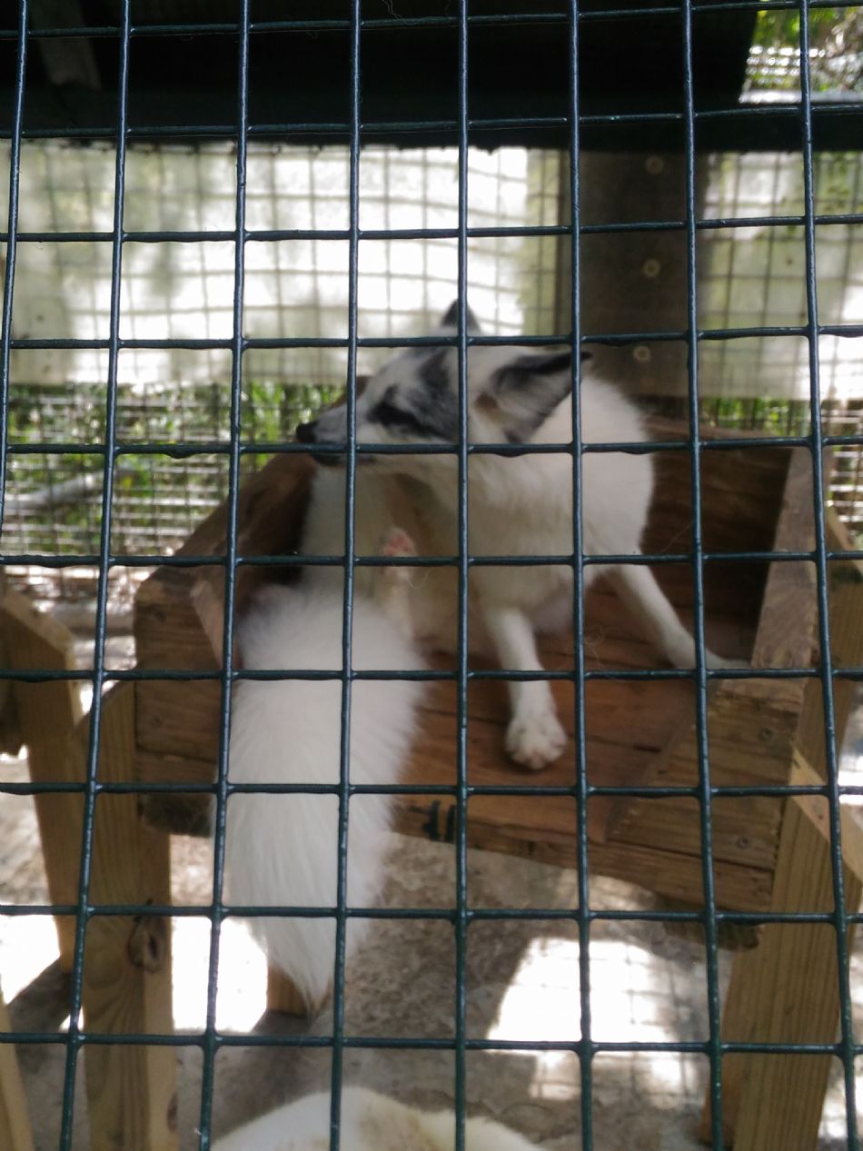 文件 : <FONT COLOR='red'>(108.11.01)戶外教學【綠世界】-32.JPG</FONT> <BR> 尺寸 : <FONT COLOR='blue'>950 × 1267</FONT> 圖元 <BR> 格式 : <FONT COLOR='green'>jpg</FONT> <BR> 大小 : <FONT COLOR='green'> -- </FONT> KB