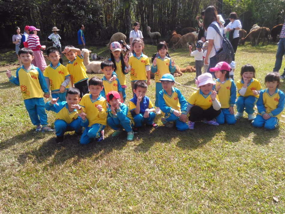 文件 : <FONT COLOR='red'>(108.11.01)綠世界 A-3.JPG</FONT> <BR> 尺寸 : <FONT COLOR='blue'>950 × 712</FONT> 圖元 <BR> 格式 : <FONT COLOR='green'>jpg</FONT> <BR> 大小 : <FONT COLOR='green'> -- </FONT> KB