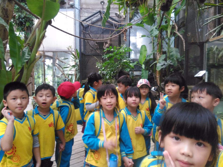 文件 : <FONT COLOR='red'>(108.11.01)綠世界 A-36.JPG</FONT> <BR> 尺寸 : <FONT COLOR='blue'>950 × 712</FONT> 圖元 <BR> 格式 : <FONT COLOR='green'>jpg</FONT> <BR> 大小 : <FONT COLOR='green'> -- </FONT> KB