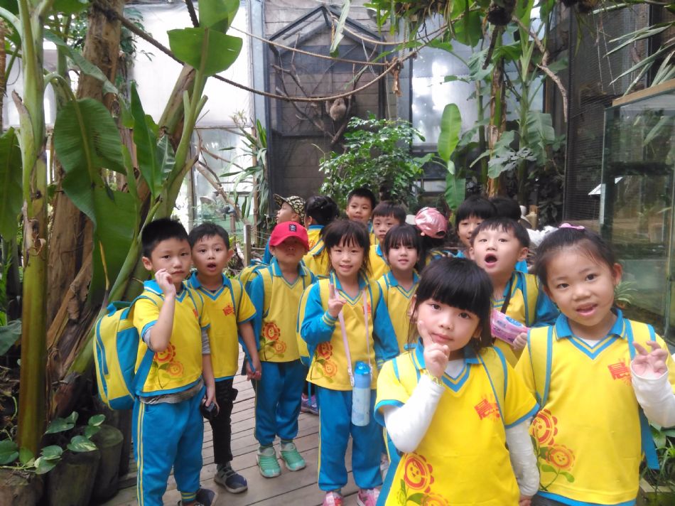 文件 : <FONT COLOR='red'>(108.11.01)綠世界 A-58.JPG</FONT> <BR> 尺寸 : <FONT COLOR='blue'>950 × 712</FONT> 圖元 <BR> 格式 : <FONT COLOR='green'>jpg</FONT> <BR> 大小 : <FONT COLOR='green'> -- </FONT> KB