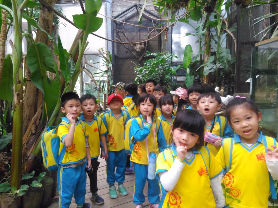 文件 : <FONT COLOR='red'>(108.11.01)綠世界 A-62.JPG</FONT> <BR> 尺寸 : <FONT COLOR='blue'>950 × 712</FONT> 圖元 <BR> 格式 : <FONT COLOR='green'>jpg</FONT> <BR> 大小 : <FONT COLOR='green'> -- </FONT> KB