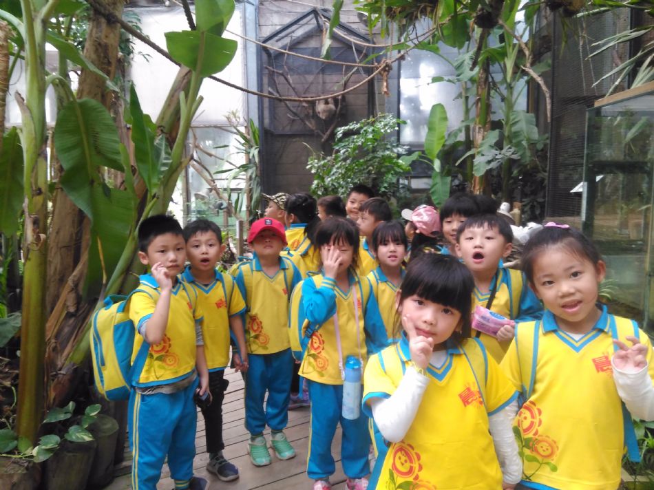 文件 : <FONT COLOR='red'>(108.11.01)綠世界 A-64.JPG</FONT> <BR> 尺寸 : <FONT COLOR='blue'>950 × 712</FONT> 圖元 <BR> 格式 : <FONT COLOR='green'>jpg</FONT> <BR> 大小 : <FONT COLOR='green'> -- </FONT> KB