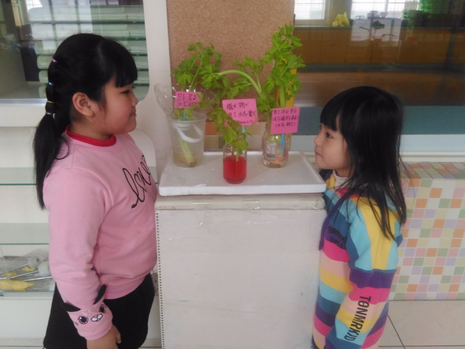 文件 : <FONT COLOR='red'>(109.02.11)植物的管子【芹菜吸水實驗】-1.JPG</FONT> <BR> 尺寸 : <FONT COLOR='blue'>950 × 712</FONT> 圖元 <BR> 格式 : <FONT COLOR='green'>jpg</FONT> <BR> 大小 : <FONT COLOR='green'> -- </FONT> KB