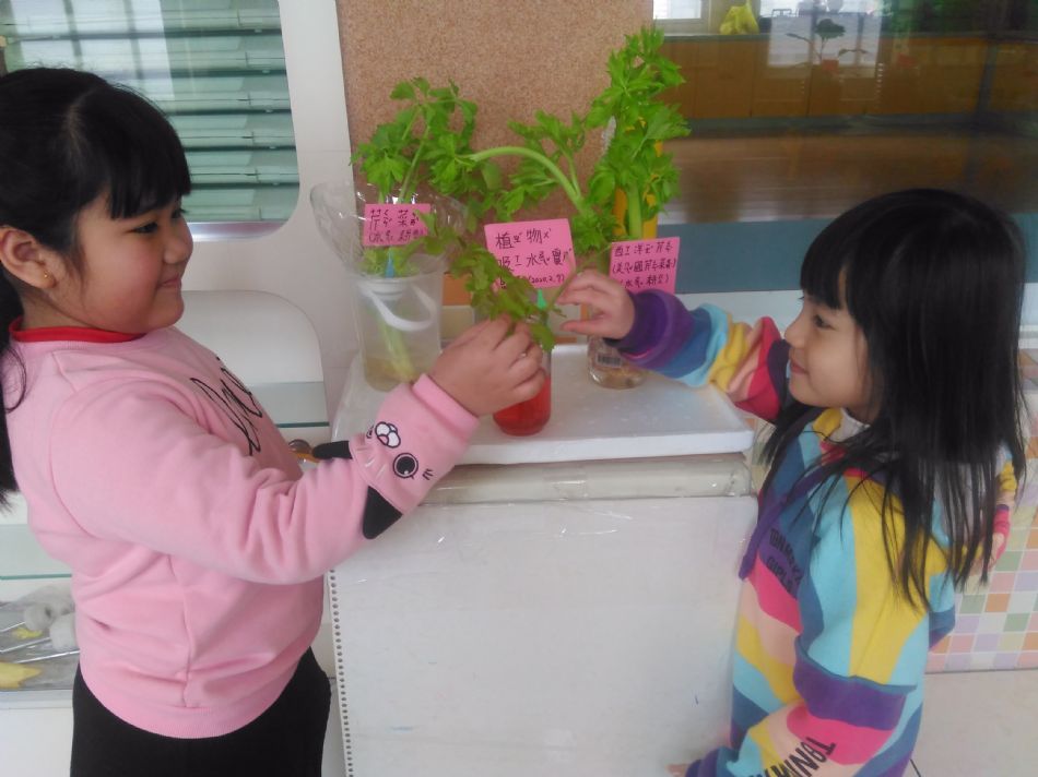 文件 : <FONT COLOR='red'>(109.02.11)植物的管子【芹菜吸水實驗】-2.JPG</FONT> <BR> 尺寸 : <FONT COLOR='blue'>950 × 712</FONT> 圖元 <BR> 格式 : <FONT COLOR='green'>jpg</FONT> <BR> 大小 : <FONT COLOR='green'> -- </FONT> KB