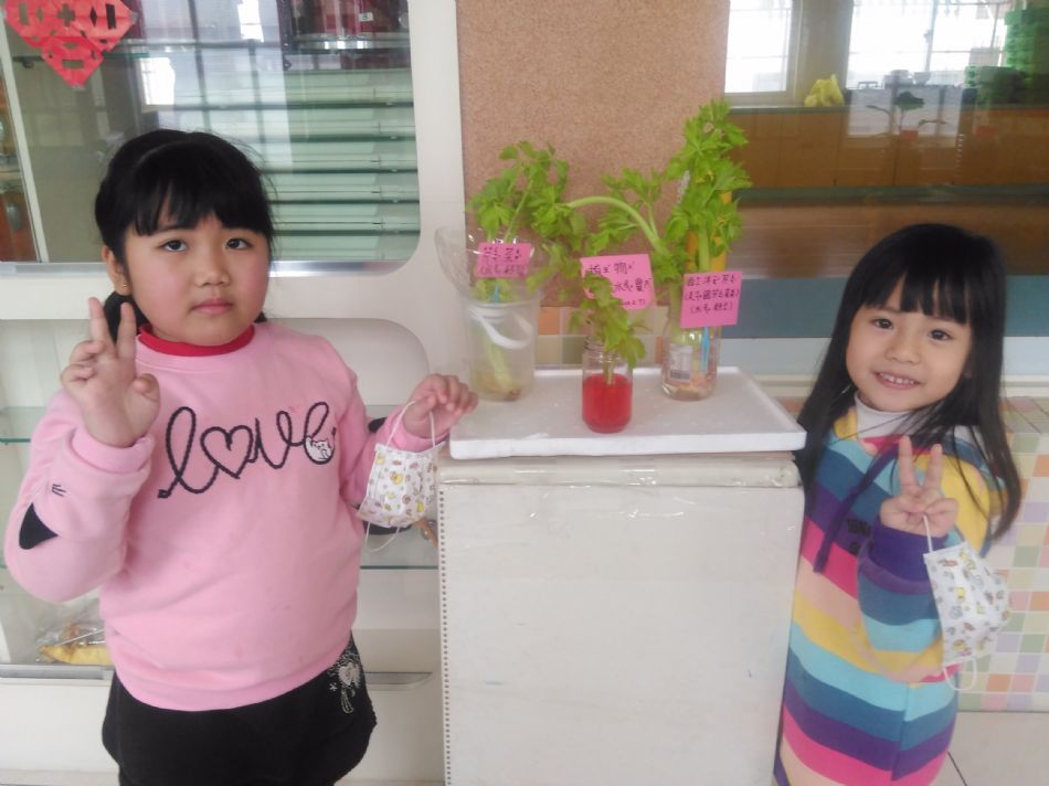 文件 : <FONT COLOR='red'>(109.02.11)植物的管子【芹菜吸水實驗】.JPG</FONT> <BR> 尺寸 : <FONT COLOR='blue'>950 × 712</FONT> 圖元 <BR> 格式 : <FONT COLOR='green'>jpg</FONT> <BR> 大小 : <FONT COLOR='green'> -- </FONT> KB