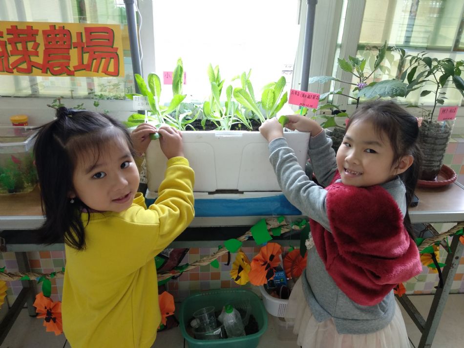 文件 : <FONT COLOR='red'>(109.03.05)主題【A菜長大了】-1.JPG</FONT> <BR> 尺寸 : <FONT COLOR='blue'>950 × 712</FONT> 圖元 <BR> 格式 : <FONT COLOR='green'>jpg</FONT> <BR> 大小 : <FONT COLOR='green'> -- </FONT> KB