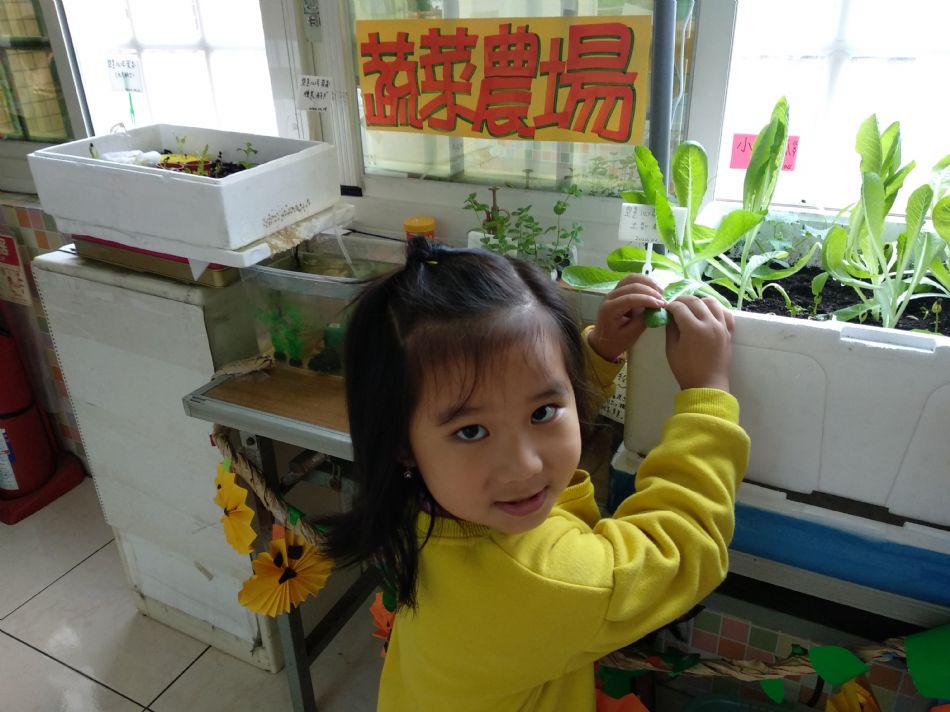 文件 : <FONT COLOR='red'>(109.03.05)主題【A菜長大了】-2.JPG</FONT> <BR> 尺寸 : <FONT COLOR='blue'>950 × 712</FONT> 圖元 <BR> 格式 : <FONT COLOR='green'>jpg</FONT> <BR> 大小 : <FONT COLOR='green'> -- </FONT> KB