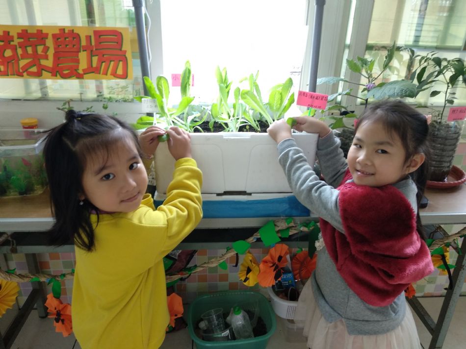 文件 : <FONT COLOR='red'>(109.03.05)主題【A菜長大了】-3.JPG</FONT> <BR> 尺寸 : <FONT COLOR='blue'>950 × 712</FONT> 圖元 <BR> 格式 : <FONT COLOR='green'>jpg</FONT> <BR> 大小 : <FONT COLOR='green'> -- </FONT> KB