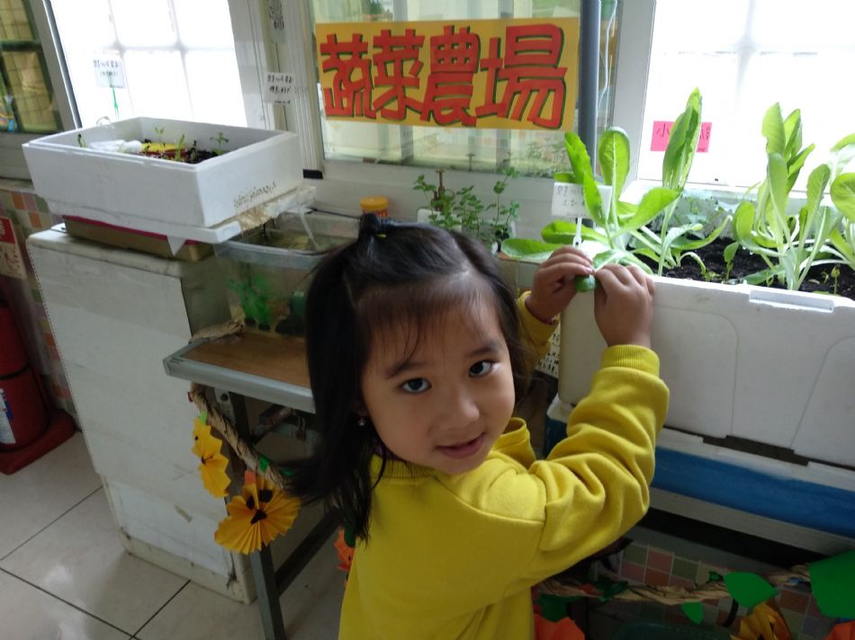 文件 : <FONT COLOR='red'>(109.03.05)主題【A菜長大了】.JPG</FONT> <BR> 尺寸 : <FONT COLOR='blue'>950 × 712</FONT> 圖元 <BR> 格式 : <FONT COLOR='green'>jpg</FONT> <BR> 大小 : <FONT COLOR='green'> -- </FONT> KB