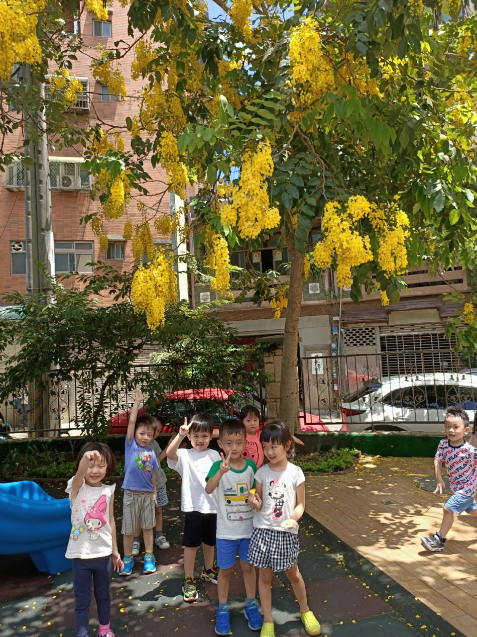 文件 : <FONT COLOR='red'>(109.06.15)學校最美的景色【阿勃勒】-10.JPG</FONT> <BR> 尺寸 : <FONT COLOR='blue'>950 × 1267</FONT> 圖元 <BR> 格式 : <FONT COLOR='green'>jpg</FONT> <BR> 大小 : <FONT COLOR='green'> -- </FONT> KB