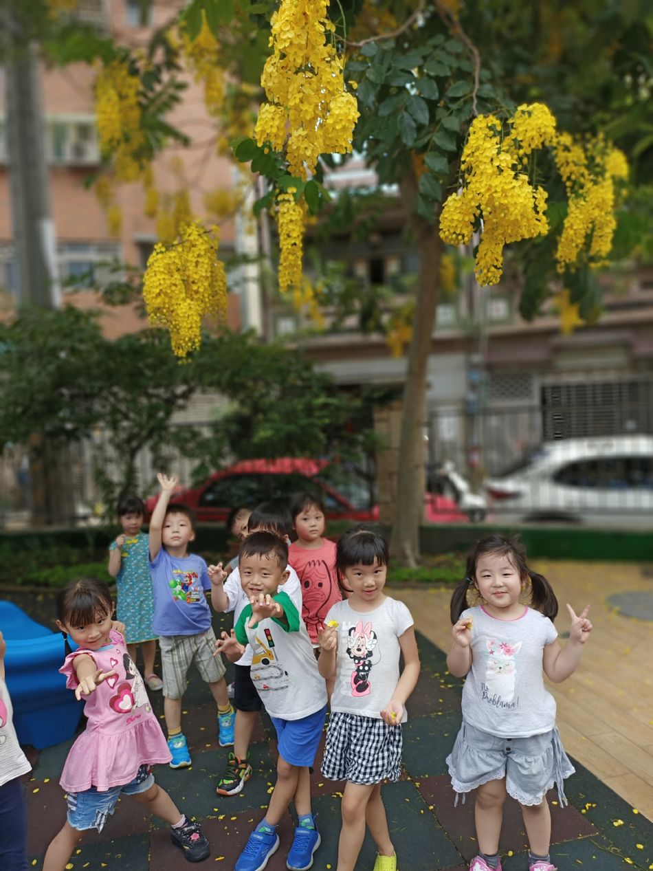 文件 : <FONT COLOR='red'>(109.06.15)學校最美的景色【阿勃勒】-3.JPG</FONT> <BR> 尺寸 : <FONT COLOR='blue'>950 × 1267</FONT> 圖元 <BR> 格式 : <FONT COLOR='green'>jpg</FONT> <BR> 大小 : <FONT COLOR='green'> -- </FONT> KB