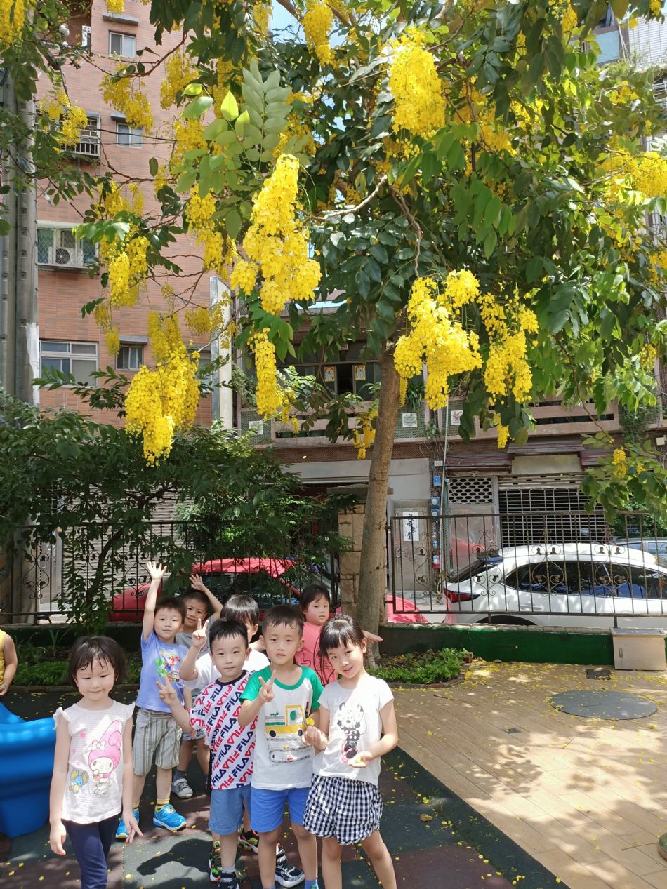 文件 : <FONT COLOR='red'>(109.06.15)學校最美的景色【阿勃勒】-6.JPG</FONT> <BR> 尺寸 : <FONT COLOR='blue'>950 × 1267</FONT> 圖元 <BR> 格式 : <FONT COLOR='green'>jpg</FONT> <BR> 大小 : <FONT COLOR='green'> -- </FONT> KB