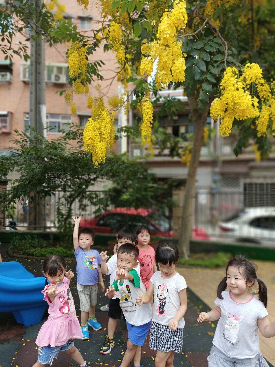 文件 : <FONT COLOR='red'>(109.06.15)學校最美的景色【阿勃勒】-7.JPG</FONT> <BR> 尺寸 : <FONT COLOR='blue'>950 × 1267</FONT> 圖元 <BR> 格式 : <FONT COLOR='green'>jpg</FONT> <BR> 大小 : <FONT COLOR='green'> -- </FONT> KB