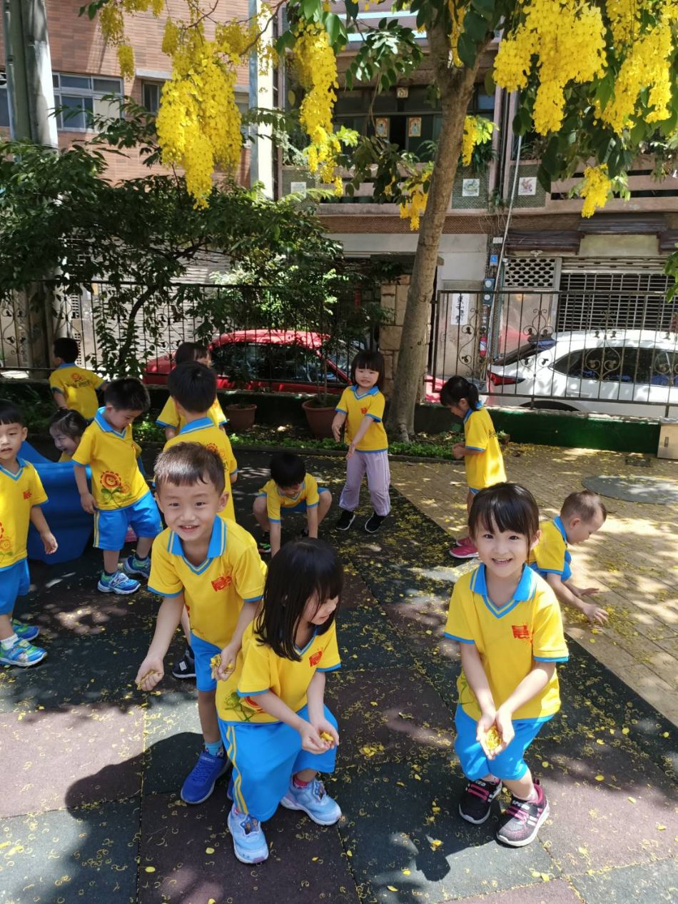 文件 : <FONT COLOR='red'>(109.06.15)學校最美的景色【阿勃勒】-13.JPG</FONT> <BR> 尺寸 : <FONT COLOR='blue'>950 × 1266</FONT> 圖元 <BR> 格式 : <FONT COLOR='green'>jpg</FONT> <BR> 大小 : <FONT COLOR='green'> -- </FONT> KB