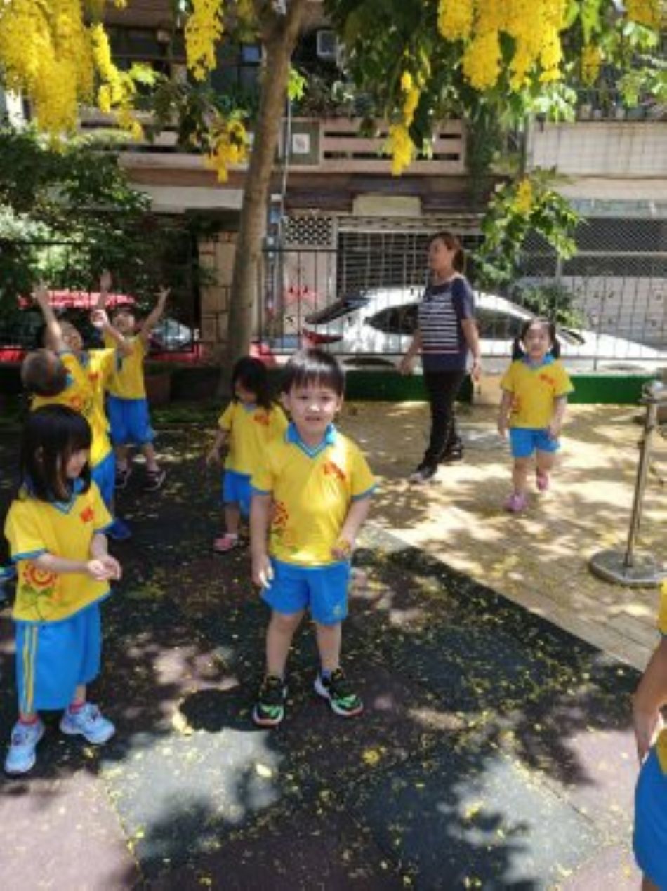 文件 : <FONT COLOR='red'>(109.06.15)學校最美的景色【阿勃勒】-1.JPG</FONT> <BR> 尺寸 : <FONT COLOR='blue'>950 × 1269</FONT> 圖元 <BR> 格式 : <FONT COLOR='green'>jpg</FONT> <BR> 大小 : <FONT COLOR='green'> -- </FONT> KB