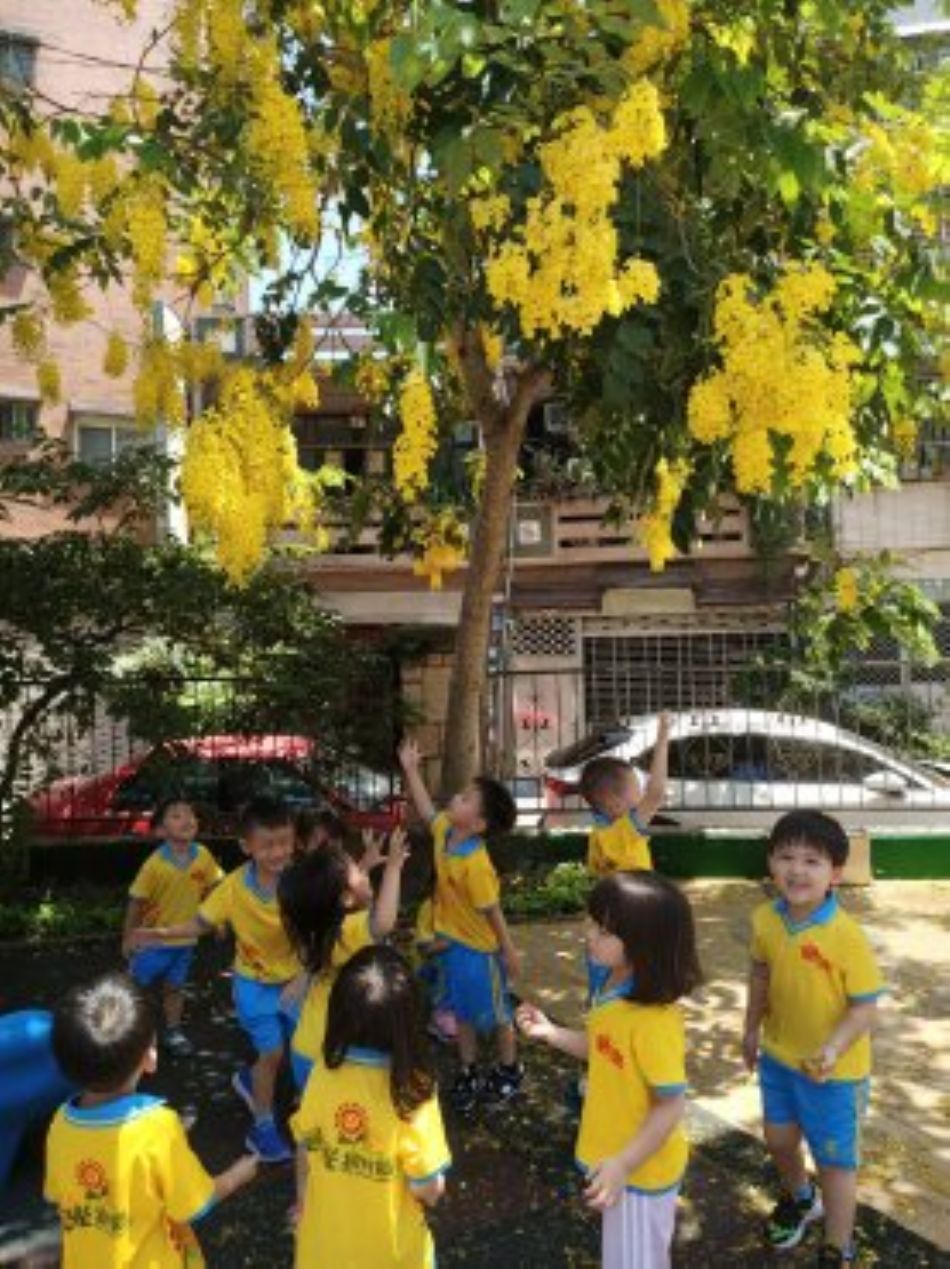 文件 : <FONT COLOR='red'>(109.06.15)學校最美的景色【阿勃勒】-10.JPG</FONT> <BR> 尺寸 : <FONT COLOR='blue'>950 × 1269</FONT> 圖元 <BR> 格式 : <FONT COLOR='green'>jpg</FONT> <BR> 大小 : <FONT COLOR='green'> -- </FONT> KB