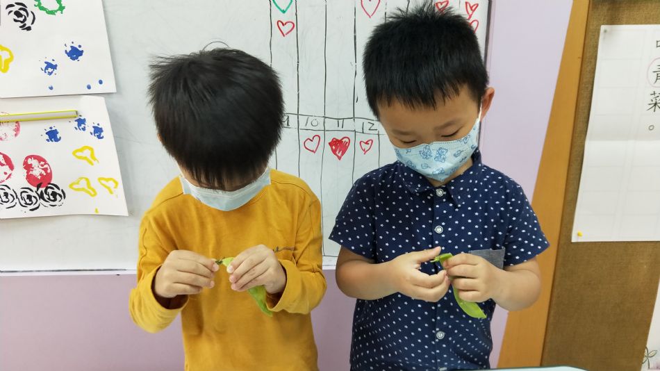 文件 : <FONT COLOR='red'>(109.03.26)主題活動【我是挑菜小幫手】.JPG</FONT> <BR> 尺寸 : <FONT COLOR='blue'>950 × 534</FONT> 圖元 <BR> 格式 : <FONT COLOR='green'>jpg</FONT> <BR> 大小 : <FONT COLOR='green'> -- </FONT> KB